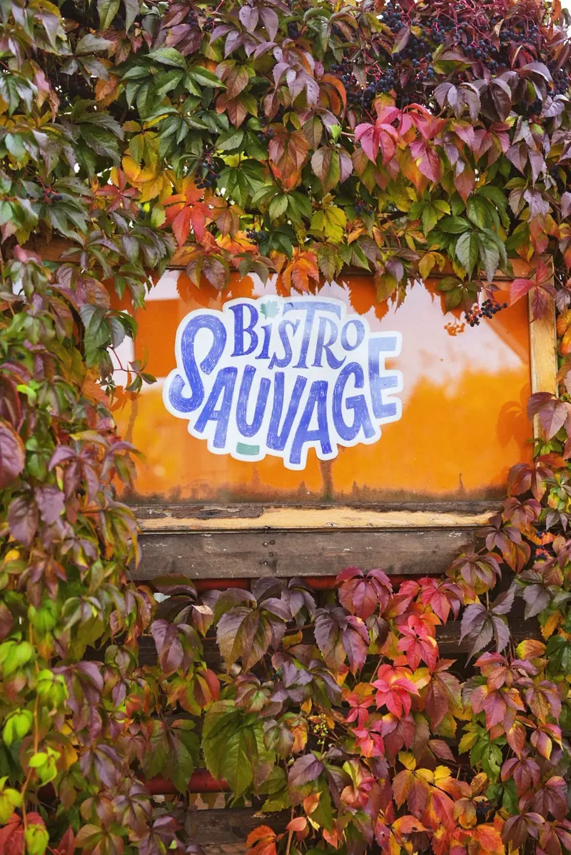 L’enseigne orange du Bistro Sauvage prise dans la vigne vierge rouge et verte de la terrasse.